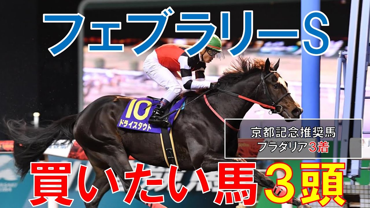 フェブラリーステークス 2023 買いたい馬3頭 混戦模様だからこそ狙いたい馬 レモンポップの評価は・・・・