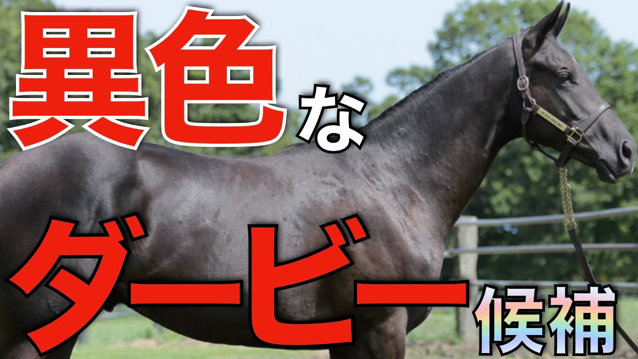 【快挙なるか】ファントムシーフの血統が改めてヤバすぎる！10年ぶりの素材かも。