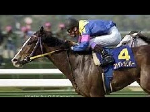 第５６回　桜花賞 （ＧⅠ）　ファイトガリバー 　田原成貴　1996.4.7　　出走馬：ビワハイジ、イブキパーシヴ、マックスロゼ、リトルオードリー、センターライジング、シーズアチャンス他