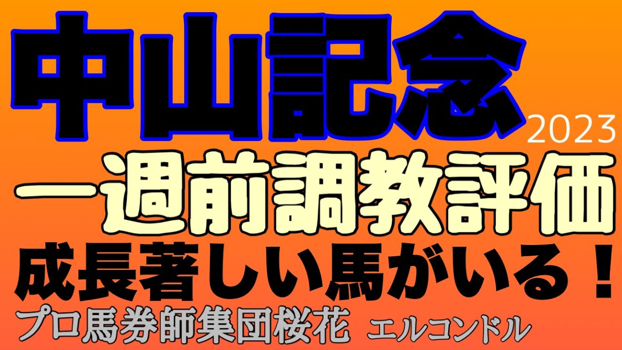 プロ馬券師集団桜花エルコンドル氏の中山記念2023一週前調教評価！！シュネルマイスターにスタニングローズ等G1馬にソーヴァリアントなどの実力馬の状態は？！昨秋から成長感じる馬の動きに注目！