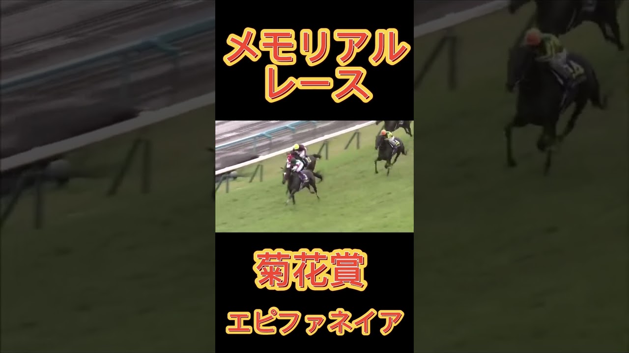 メモリアルレース！菊花賞のエピファネイア#shorts #競馬 #スポーツ #ウマ娘