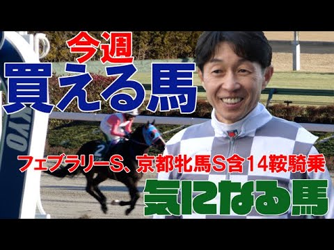 【武豊】フェブラリーＳ・京都牝馬Ｓ （ヘリオス・ウォーターナビレラ）今週は土曜阪神8鞍、日曜東京6鞍！確勝級の馬が1頭！