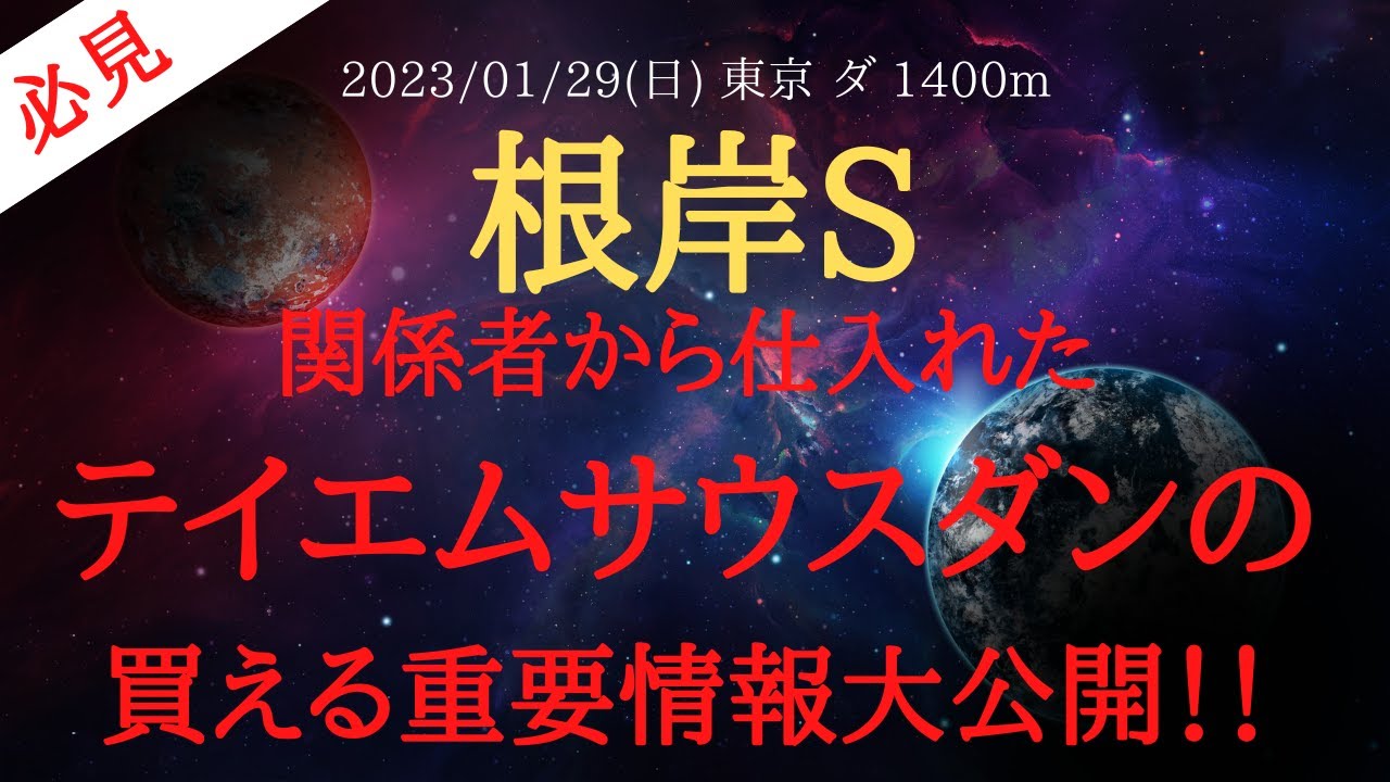 【 裏情報 】根岸ステークス 2023 予想 関係者から仕入れたテイエムサウスダンの知らないと損する買える情報公開！【 中央競馬予想 】