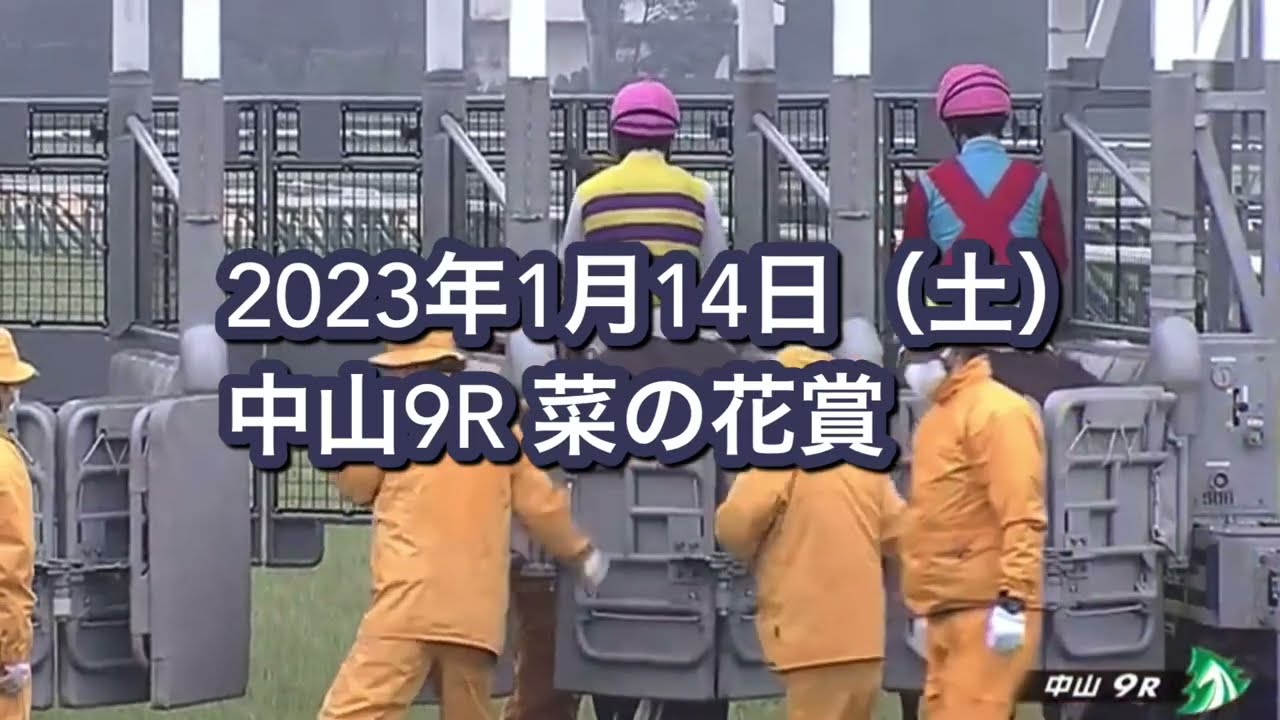 2023年1月14日（土）中山9R 菜の花賞レース映像【トラべログ】