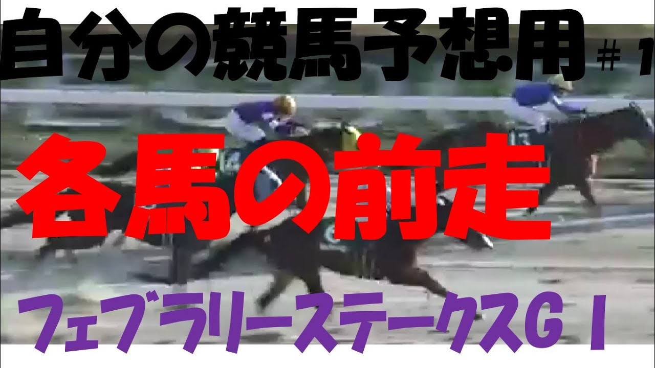 【競馬予想用】自分の為の各馬前走#1 フェブラリーステークス 競馬編