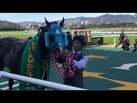 【オジュウチョウサン　長沼厩務員のファンービスが神✨✨】阪神スプリングジャンプ2019 #オジュウチョウサン