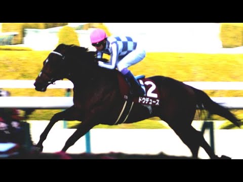 【武豊】ドウデュース 帰ってきた！強いダービー馬！！前哨戦を圧勝でドバイへ 京都記念