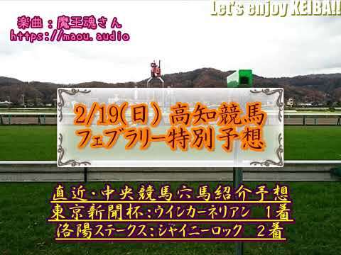 2023高知競馬　フェブラリー特別予想