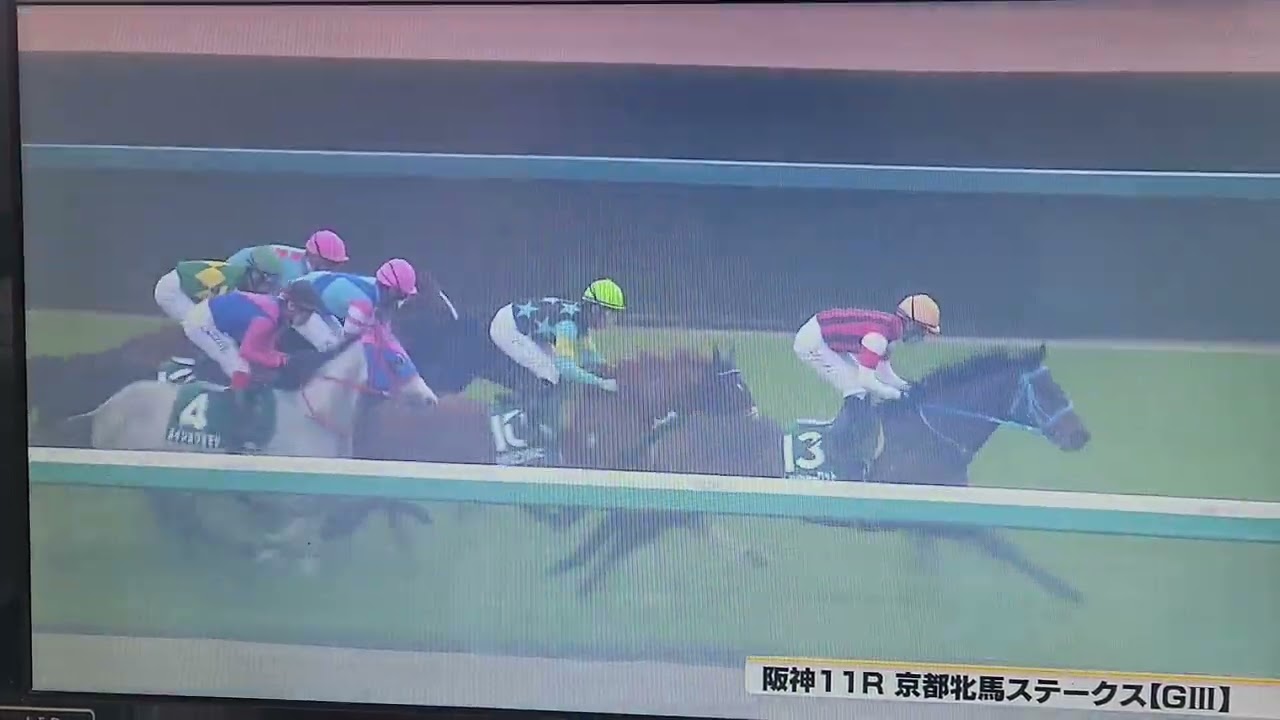 今日の動画は阪神11レース京都牝馬ステークス芝1400メートル父ミッキーアイル産駒ララクリスティーヌ結果