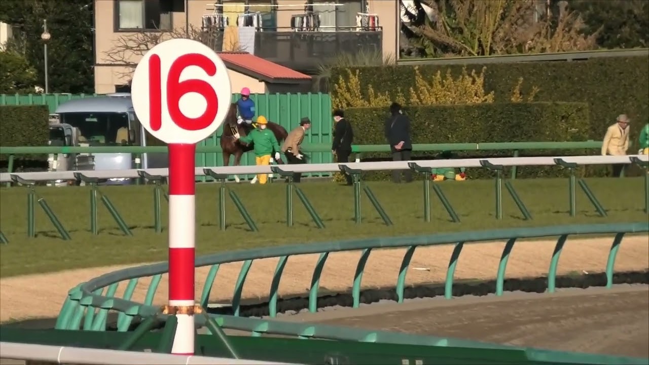 2023 01 05 中山競馬場第10レース　ジュニアカップ　クルゼイロドスル・ニシノライコウ・フルメタルボディー　ミルコ デムーロ