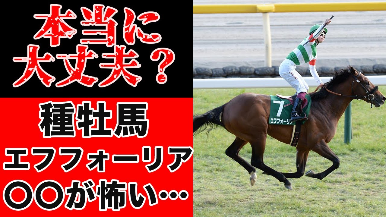 【怪しい？】エフフォーリア、種牡馬としてどうなるの？競馬コンサルタントが徹底解説✨