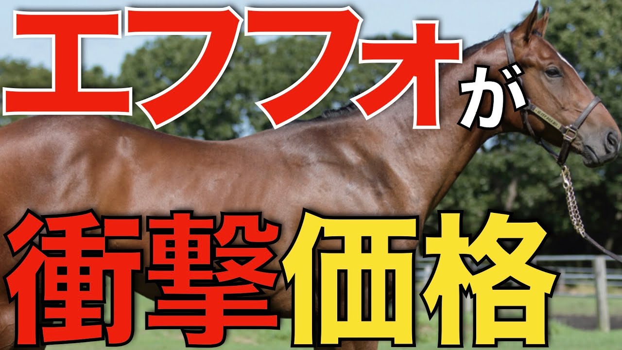 【即満口】エフフォーリアの種付け料があまりにも安すぎた…。年度代表馬としては破格の金額。