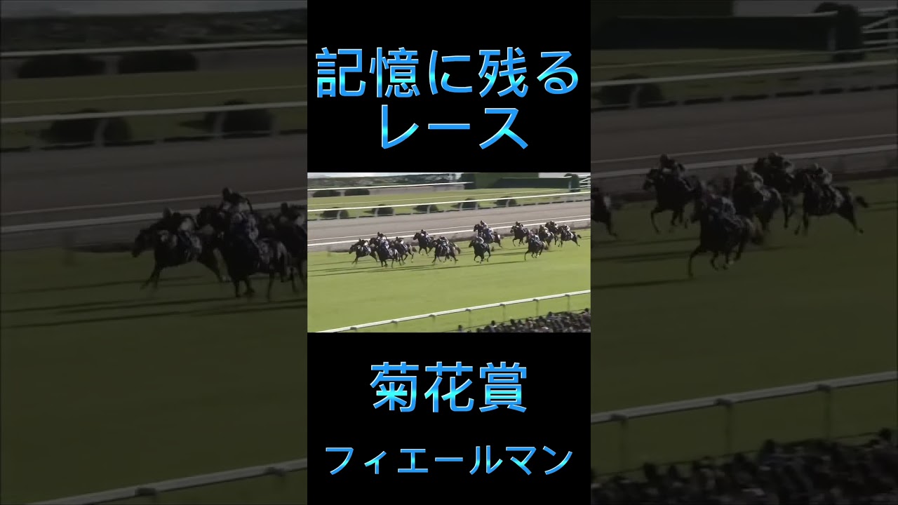 これは凄い！菊花賞のフィエールマン#shorts #競馬 #スポーツ #ウマ娘 #菊花賞