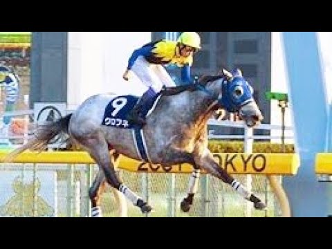 『ちぎる！ちぎる！…強すぎる！強すぎる！』第２回　ジャパンカップダート （ＧⅠ）　クロフネ　武豊　2001.11.24　　出走馬：ウイングアロー、ミラクルオペラ、ノボトゥルー他　実況：青島達也