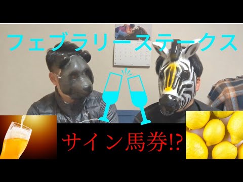 【フェブラリーステークス】競馬予想!フェブラリーステークスにはお酒の隠れたサインが！？【0スタ】