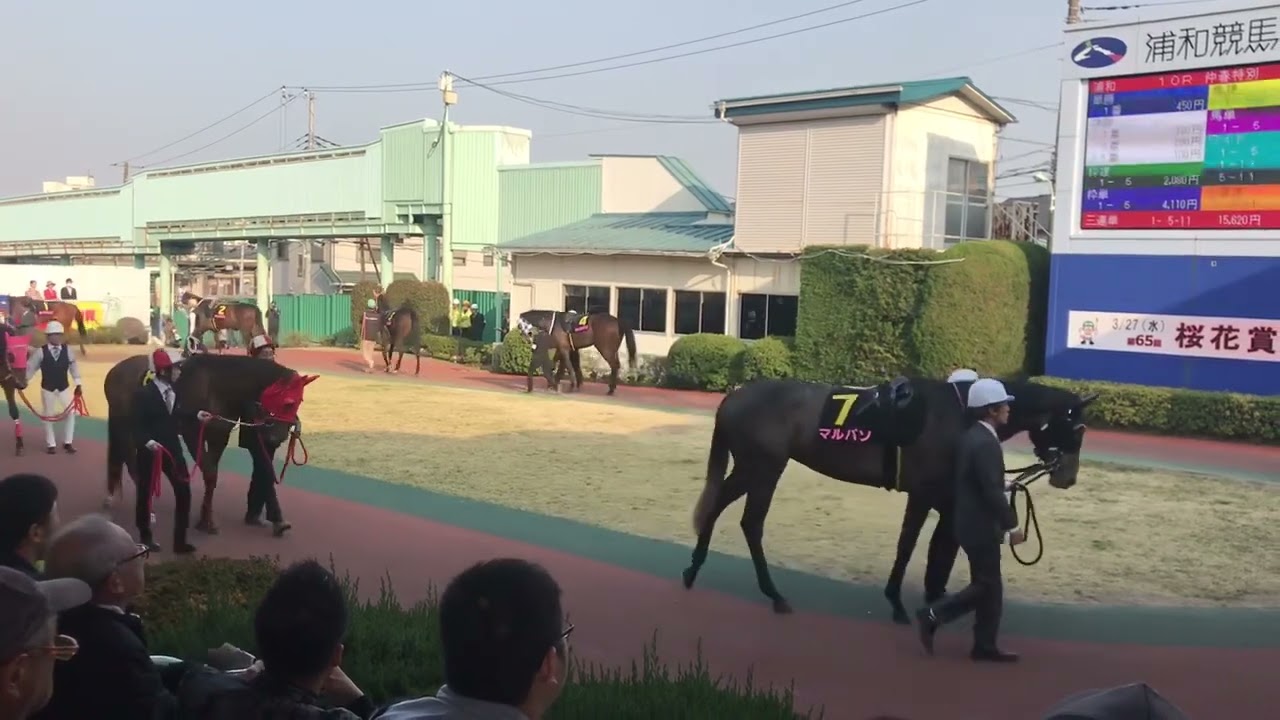 第65回桜花賞S1 パドック 2019.3.27浦和競馬場