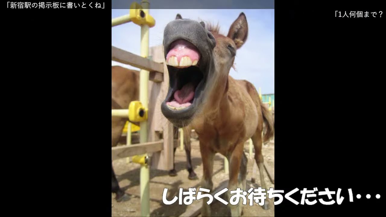 【ダービー馬主】元無職の地方競馬【そして伝説へ】