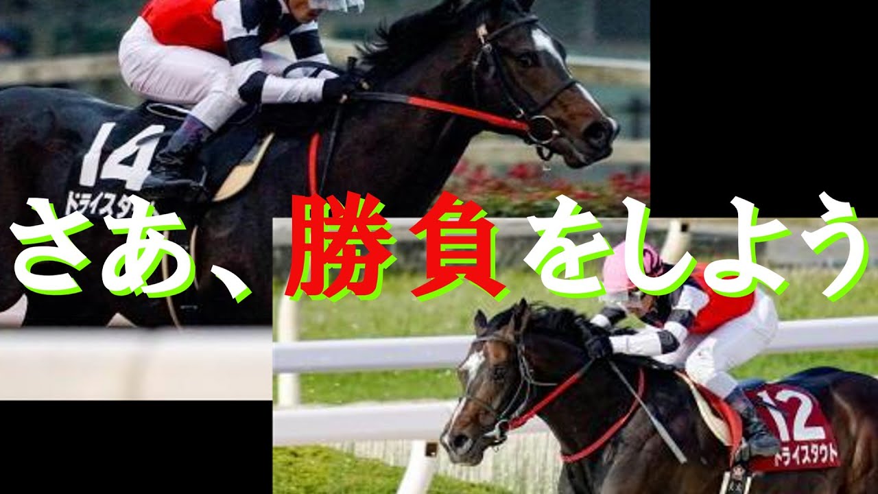 【ごめんなさい】2/19のフェブラリーSの本命予想！俺たちの選ぶ馬はこれだ！！【競馬予想】