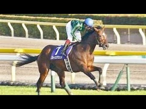 第１４８回　天皇賞（秋） （ＧⅠ）　ジャスタウェイ 　福永祐一　2013.10.27　　出走馬：ジェンティルドンナ、トウケイヘイロー 、エイシンフラッシュ、コディーノ、ダノンバラード他