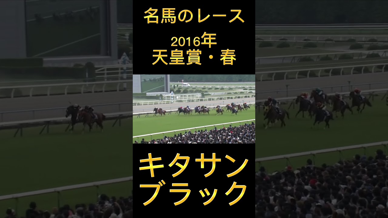 凄いレース！2016年天皇賞・春のキタサンブラック#shorts #競馬 #スポーツ #ウマ娘 #天皇賞春
