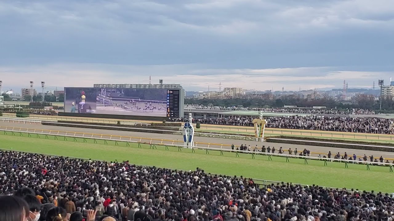 第40回フェブラリーステークス2023