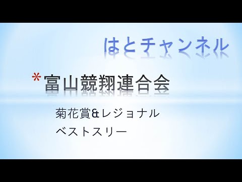 富山競翔300k菊花賞&Rgベストスリー