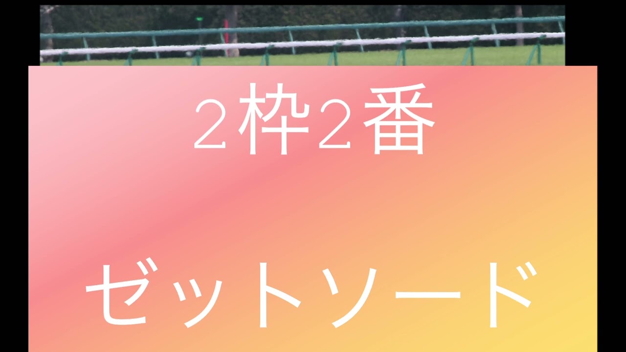 2/20  大井競馬最終レースオフト新潟賞予想
