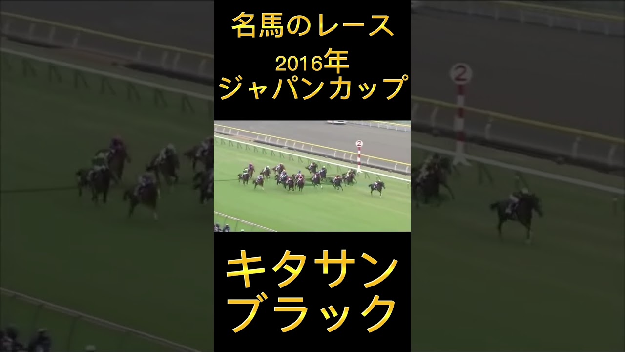 凄いレース！2016年ジャパンカップのキタサンブラック#shorts #競馬 #スポーツ #ウマ娘 #ジャパンカップ