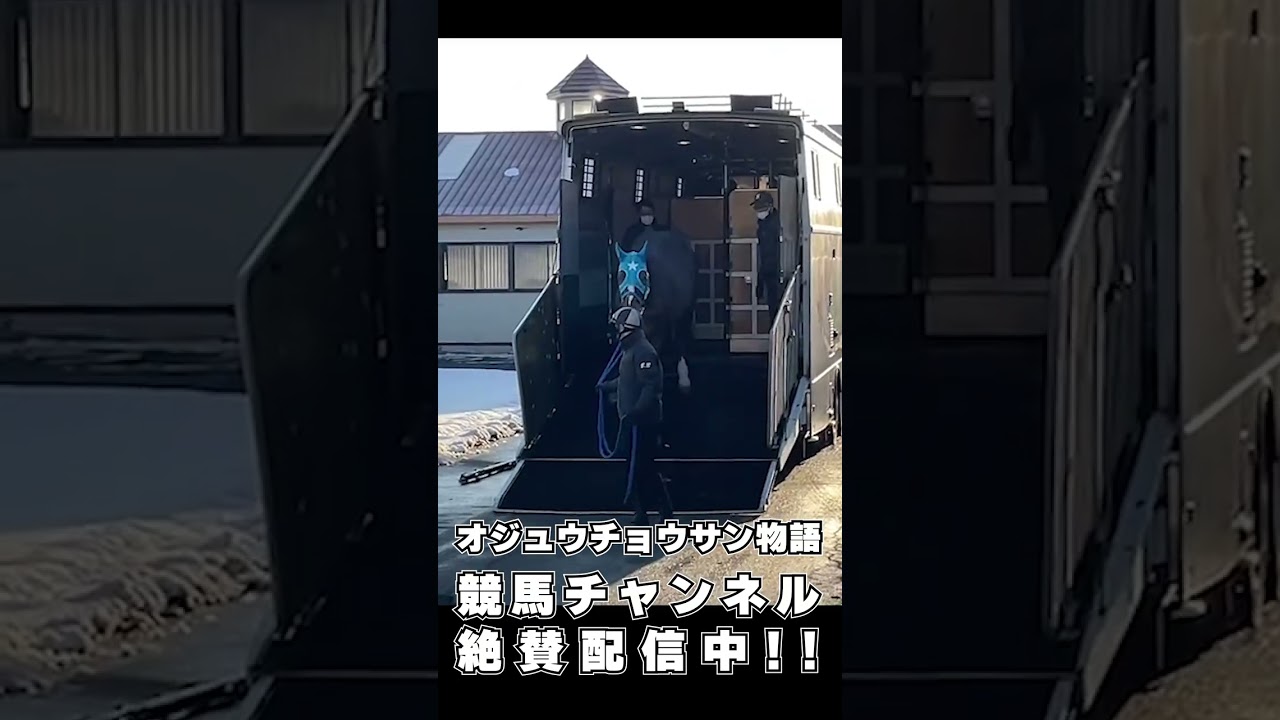 👉本編はチャンネルトップへ #オジュウチョウサン 物語 〜ホースマンとの感動秘話〜｜土曜名馬座 スピンオフ企画