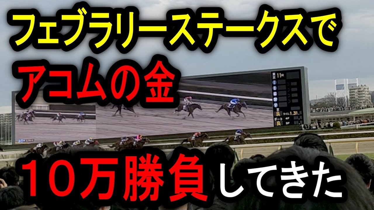 【競馬に人生!?】フェブラリーステークスで魂の3連単10万円勝負！本気で帯を目指した結果…！