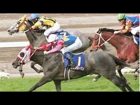 『最内からツィンクルブライド！一番外からオグリオグリオグリ！』第５４回　桜花賞 （ＧⅠ）　オグリローマン　武豊　1994.4.10　　出走馬：ローブモンタント、アグネスパレード他　　実況：馬場鉄志