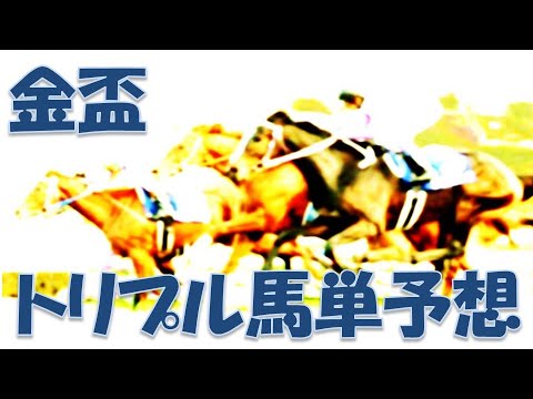 大井競馬金盃2023予想｜好メンバー揃うも6連勝のコバルトウィングを中心に！