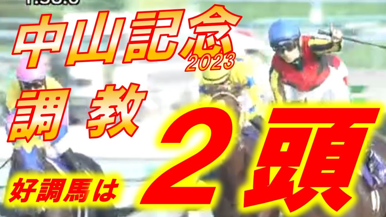 中山記念2023　追い切り診断　90点台2頭も、他も良く見える！！　ダノンザキッドが更に良化！？　元馬術選手のコラム【競馬】