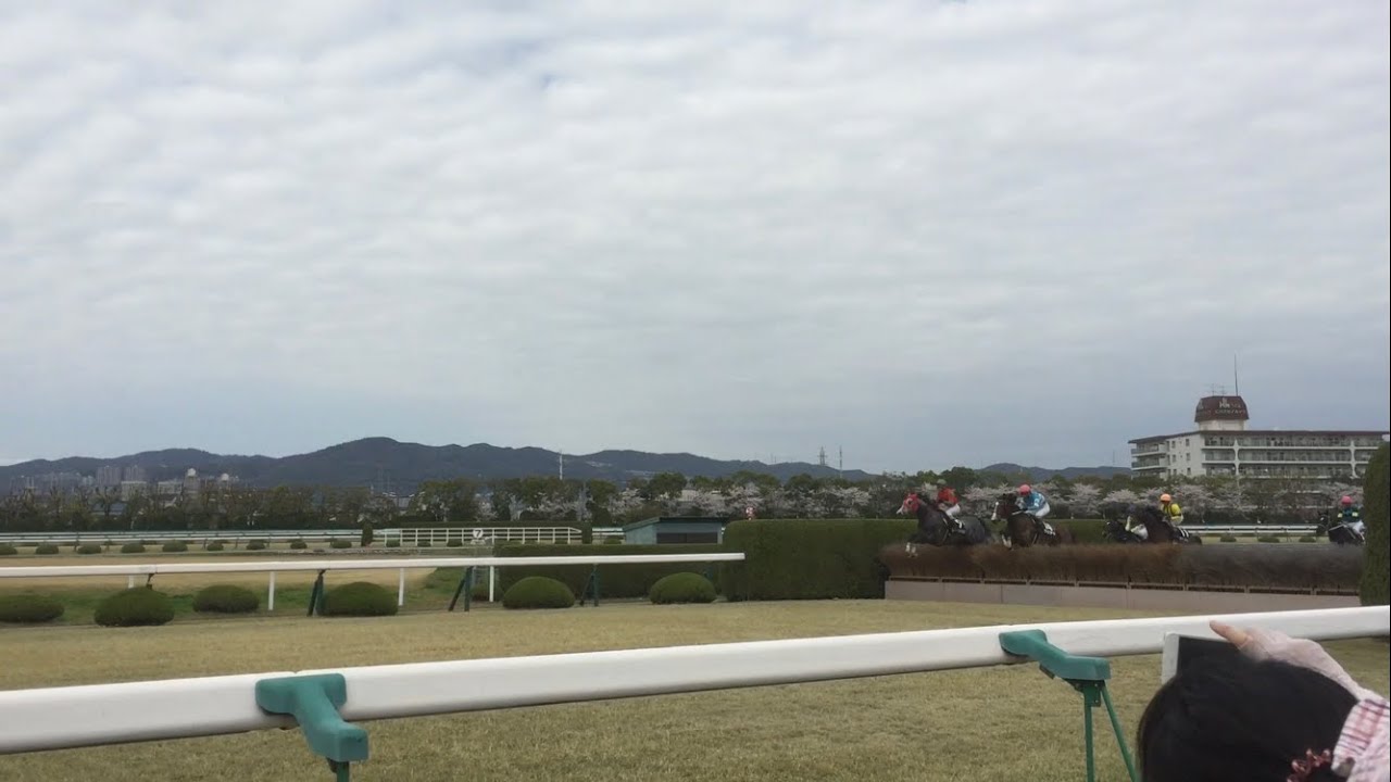 阪神競馬場 内馬場 襷コース 三木ホースランドパークジャンプステークス 150404 阪神8R