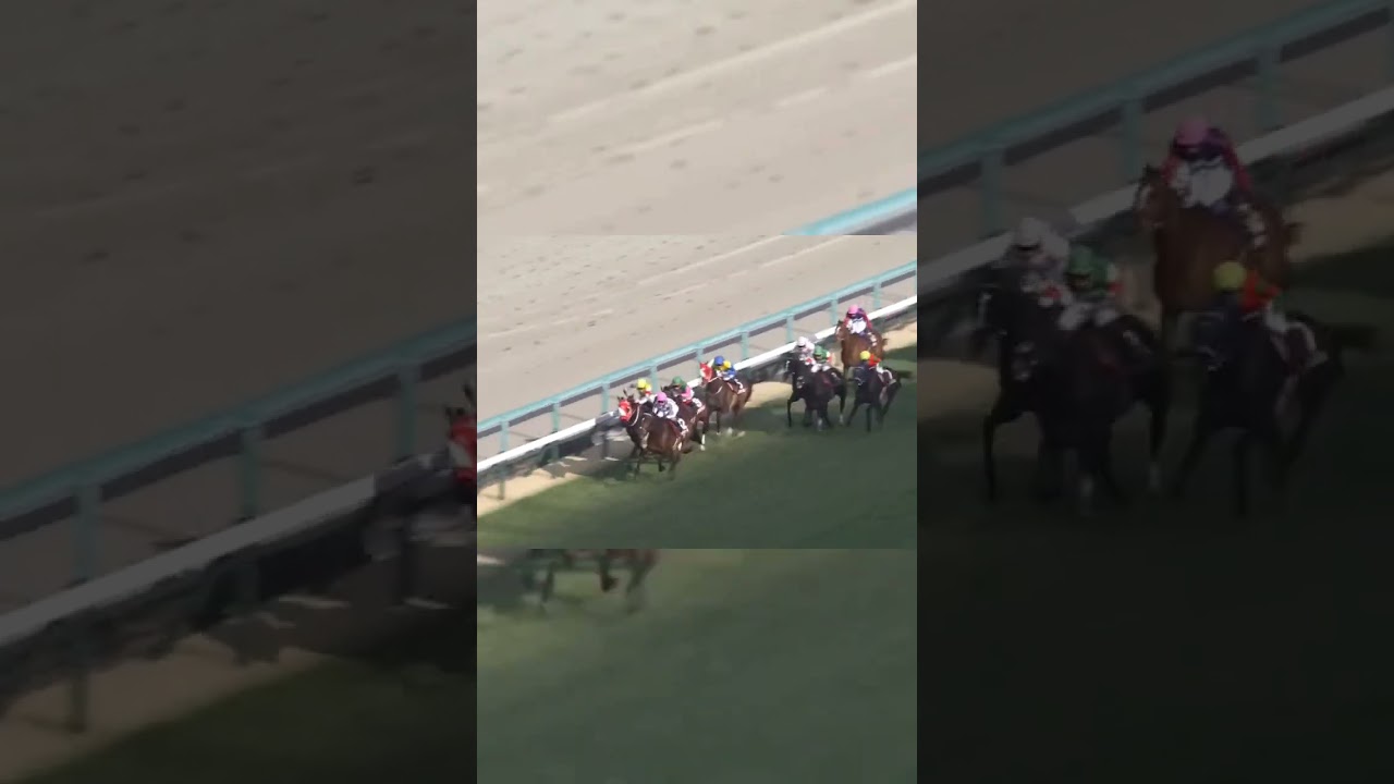ダービー馬ドウデュース！次は世界へ！！