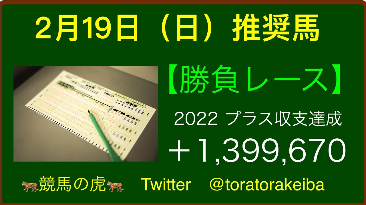 競馬の虎【２月１９日（日） 競馬予想】【平場予想】【推奨馬】【勝負レース】【穴馬】