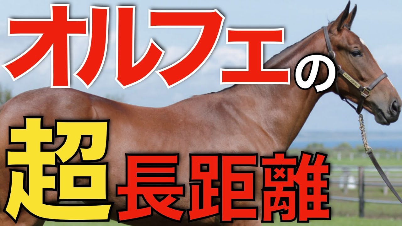 【凄い底力】オルフェーヴル産駒が3000m超で3連勝！桁違いのスタミナを証明。