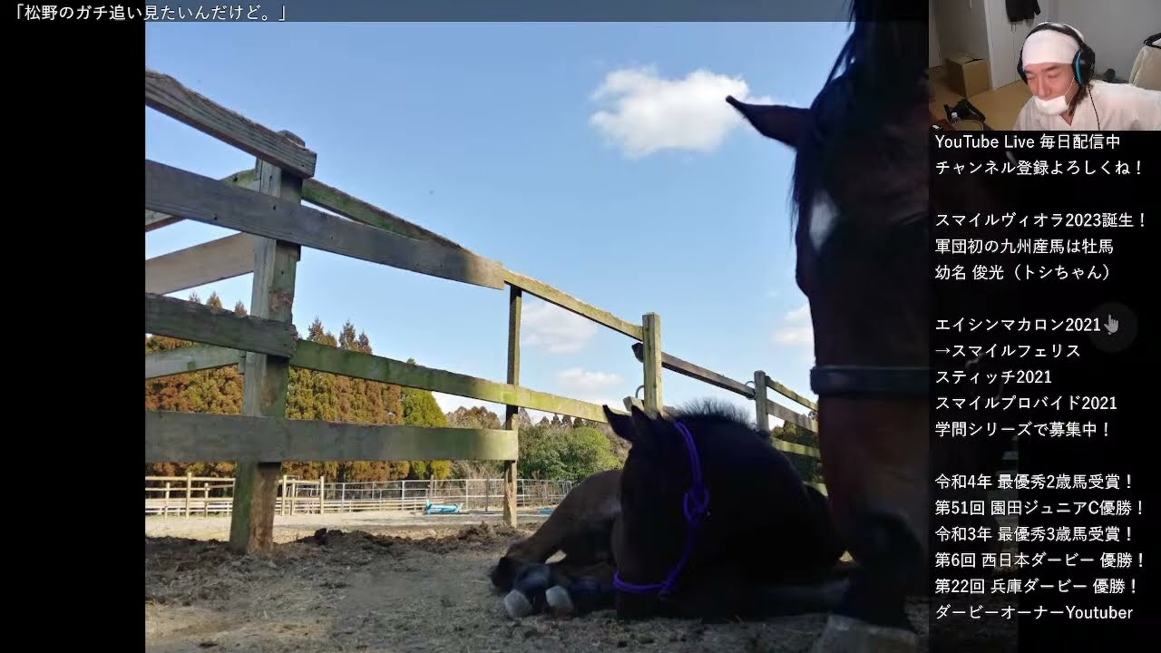 【ダービー馬主】元無職の地方競馬【そして伝説へ】