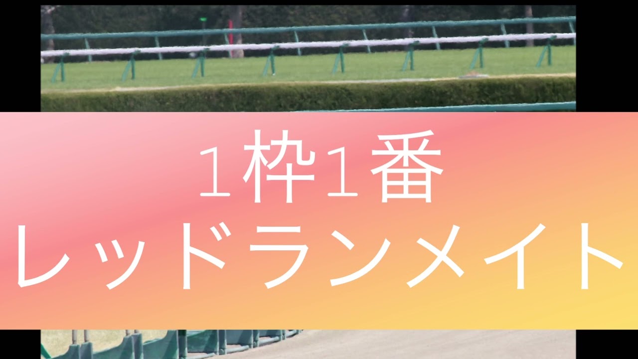 2/19  中央競馬重賞　小倉大賞典　予想
