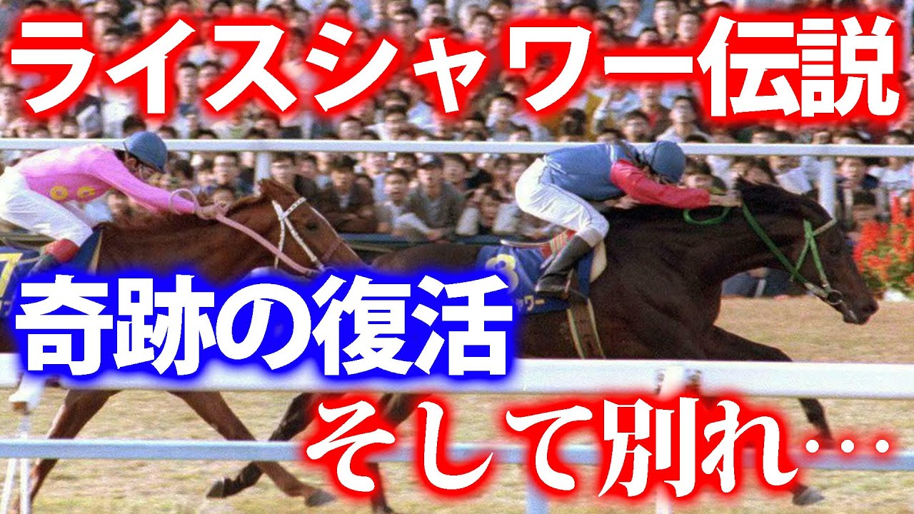 【名馬伝説】漆黒のステイヤー・ライスシャワーの物語 #競馬