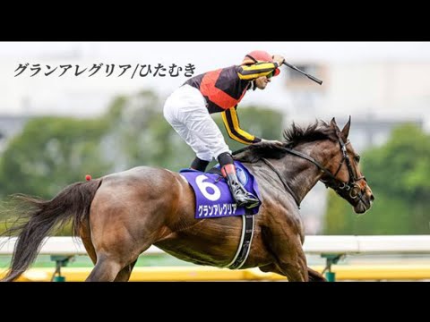 【競馬MAD】グランアレグリア/ひたむき　SUPER BEAVER