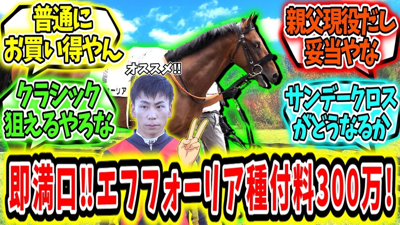『即満口‼！エフフォーリア種付け料300万‼』に対するみんなの反応