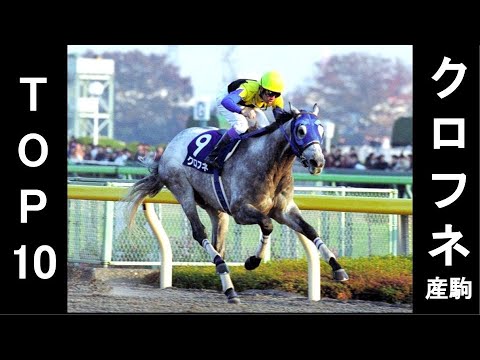クロフネ産駒TOP10