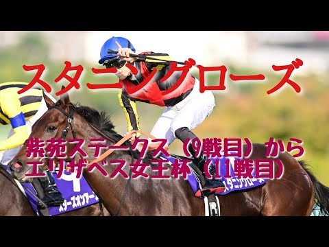 【現役競走馬】スタニングローズ  レースまとめ　9戦目紫苑ステークスから11戦目エリザベス女王杯