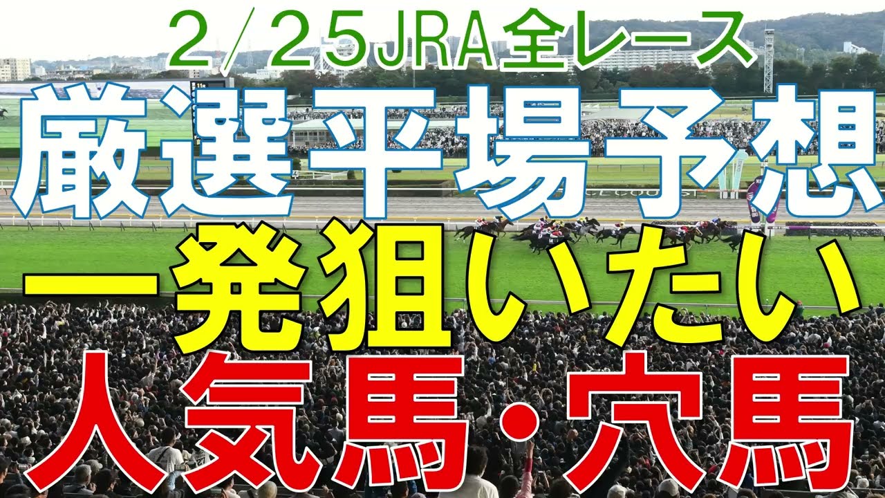 JRA 競馬予想 厳選平場予想 2月25日 平場に狙いたい人気馬・穴馬