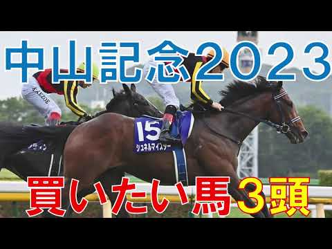 中山記念 2023 買いたい馬3頭 混戦模様だからこそ狙いたい馬