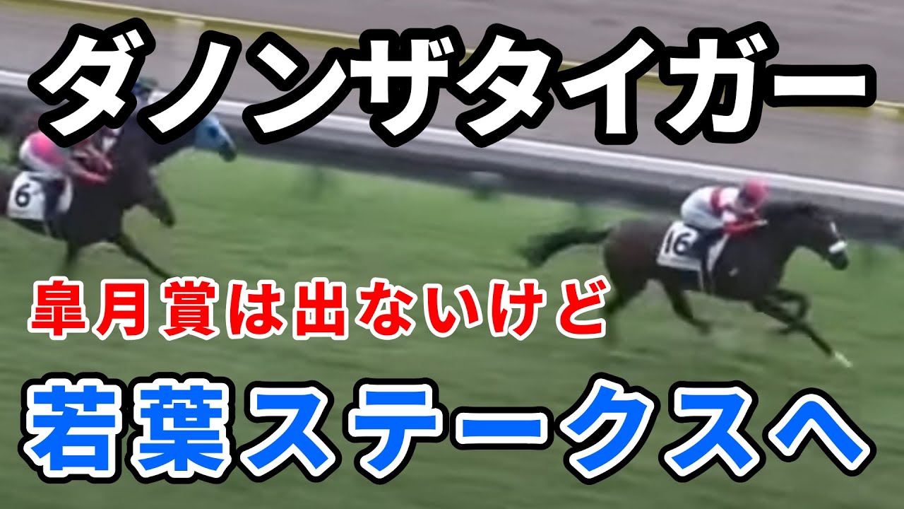 ダノンザタイガーは皐月賞出ないのになぜ若葉Sに出るのか