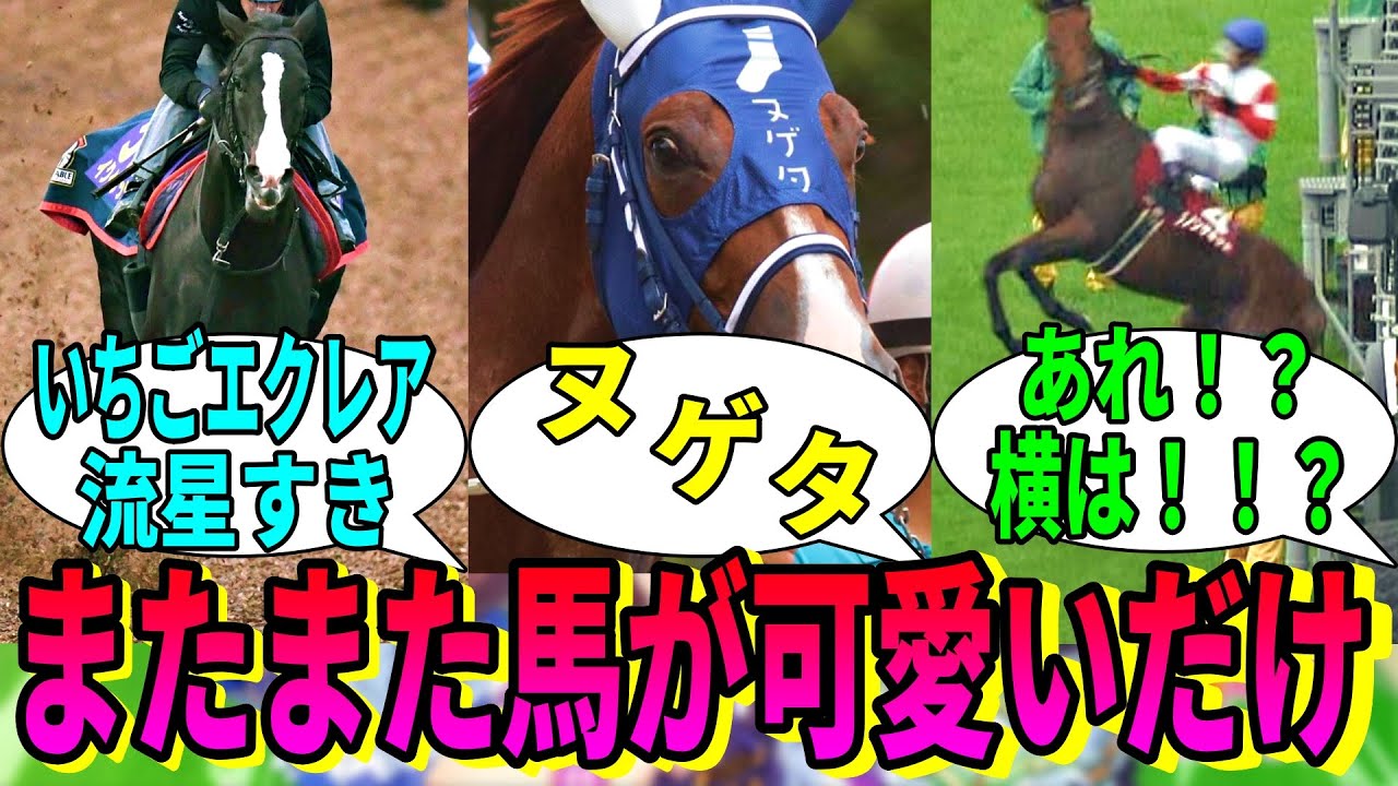 【競馬の反応集】「またまたかわいい馬の画像が集まるだけの動画」に対する視聴者の反応集