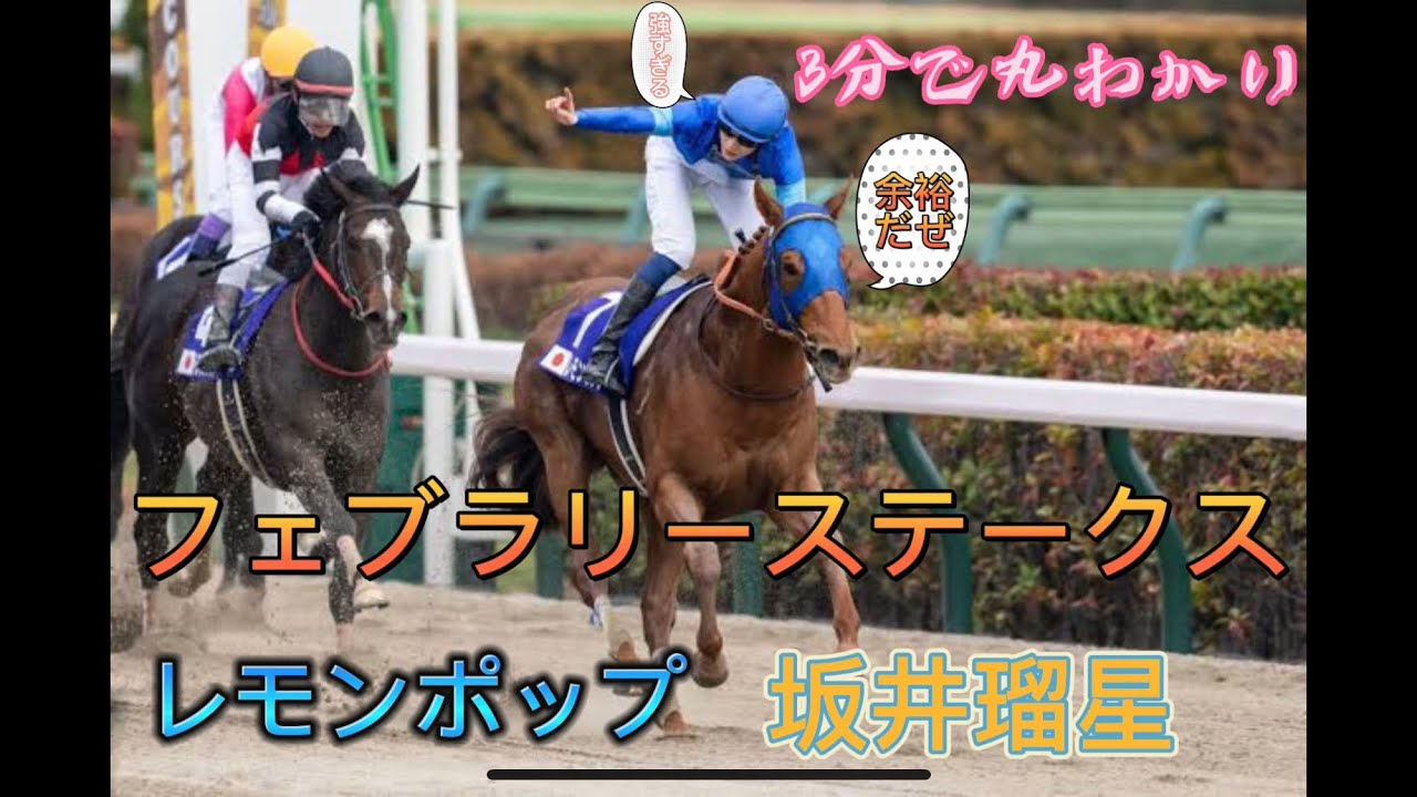 フェブラリーステークス レモンポップのパドックから坂井騎手インタビュー