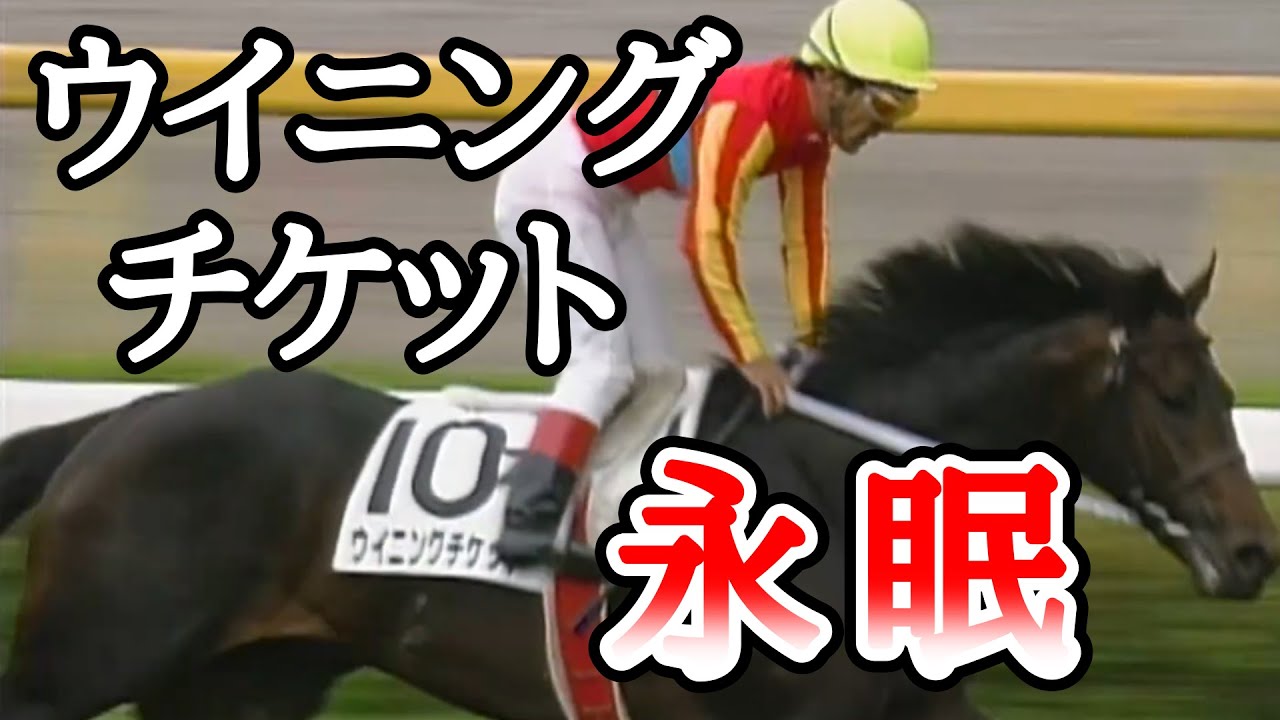 ウイニングチケット亡くなる　1993年のダービー馬